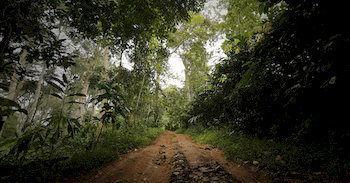 Eco Tones Hotel Munnar Luaran gambar